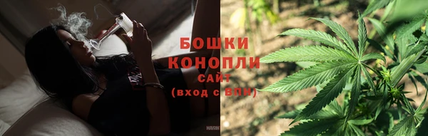 шишки Беломорск