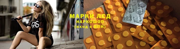 шишки Беломорск