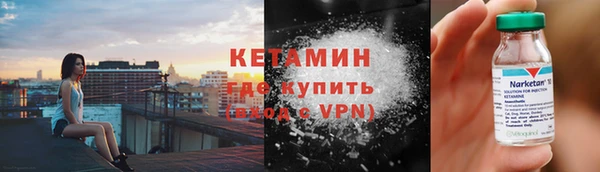 шишки Беломорск