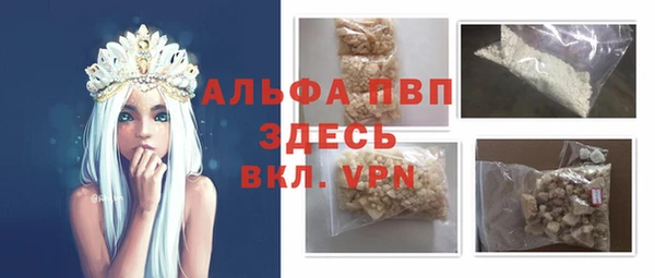 шишки Беломорск