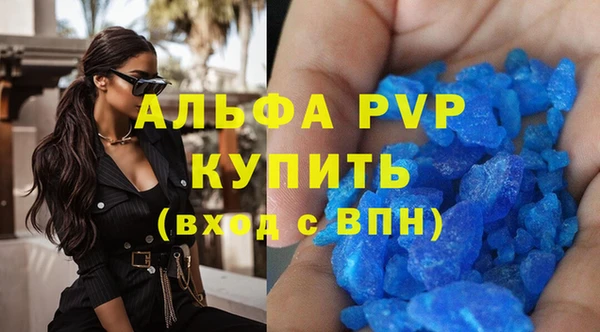 шишки Беломорск