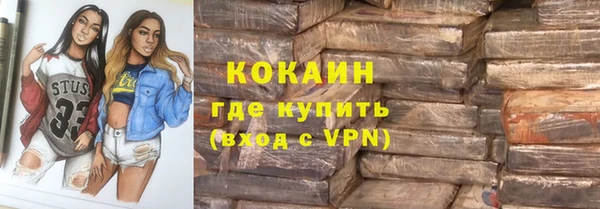 шишки Беломорск