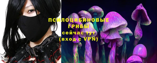 шишки Беломорск