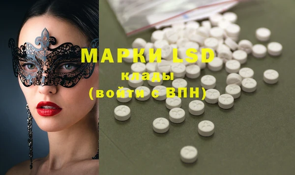 шишки Беломорск