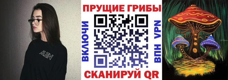 купить наркотик  Малмыж  Галлюциногенные грибы Cubensis 
